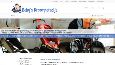 logo Baby's Droomparadijs