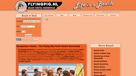 Flying Pig Beach Hostel The