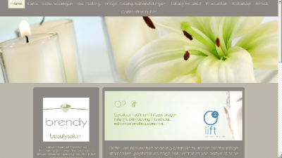 logo Brendy Beautysalon