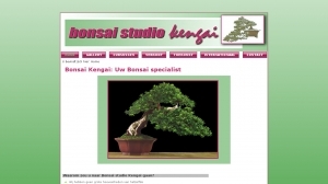 logo Bonsaistudio Kengai