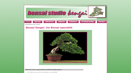 Bonsaistudio Kengai