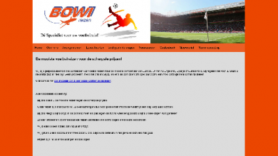 logo Bowi Reizen