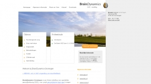 logo Brain Dynamics Groningen