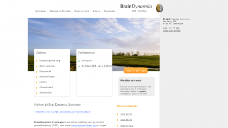 Brain Dynamics Groningen