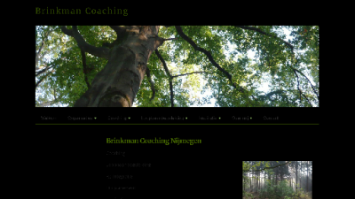 logo Brinkman Loopbaancoaching