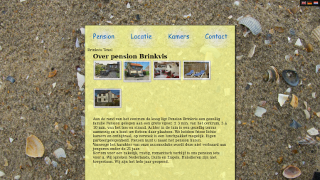 Brinkvis Pension