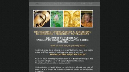 Carolien de Bruin Loopbaanadvies & Coaching