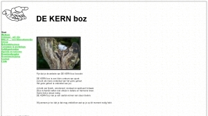 logo KERN boz Osteopathie Bewustwording en Spiritualiteit DE