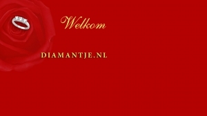 logo Diamantje.nl