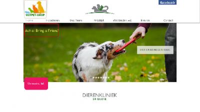 logo Driemanspolder Meerzicht Dierenkliniek