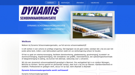 Dynamis Schoonmaakorganisatie