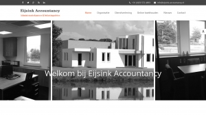 logo Eijsink Accountancy