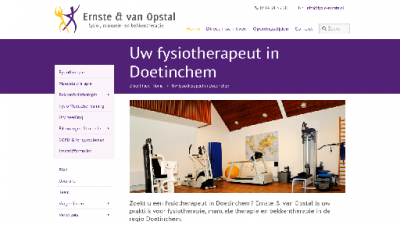 logo Fysio- Manuele en Bekkentherapie Ernste en Van Opstal