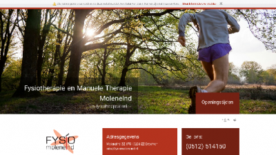 logo Moleneind Fysiotherapie en Manuele Therapie Drachten