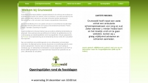 logo Grunewald Schoenspecialisten