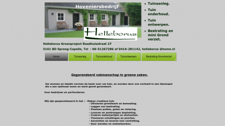 Helleborus Groenproject