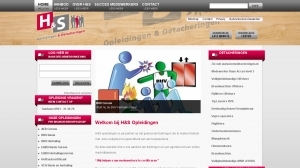 logo H & S Opleidingen & Detacheringen B V