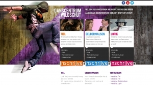 logo Dance Masters Wildschut