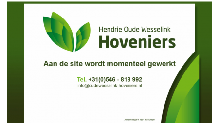 Hendrie Oude Wesselink