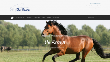 Paardenpraktijk De Kroon