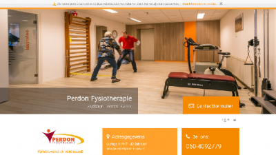 logo Fysiotherapie Praktijk Perdon BV