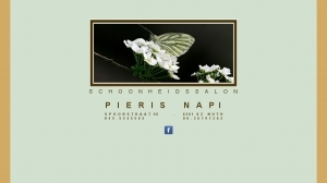 logo Salon Pieris Napi