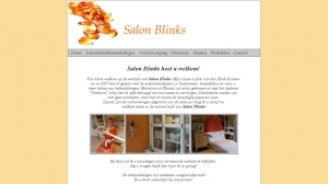 logo Salon Blinks