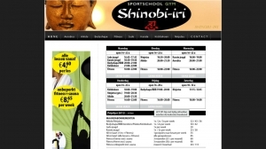 logo Shinobi-Iri Sportschool