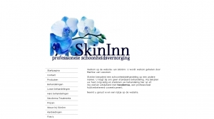 logo Skininn