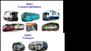 logo Spider Transport Opl