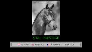 logo Stal Prestige