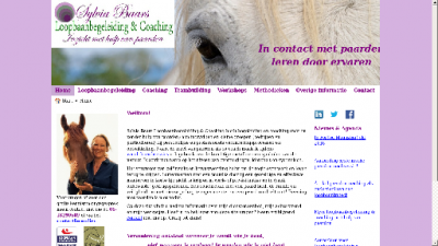 logo Sylvia Baars Loopbaanbegeleiding  & Coaching