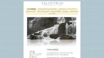 logo Talentwijs