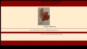 logo Mitrovic Psychologiepraktijk Tanja