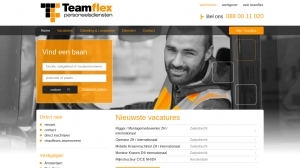 logo Teamflex Personeelsdiensten BV