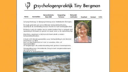 Tiny Bergman Psychologenpraktijk