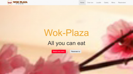 Wok Plaza